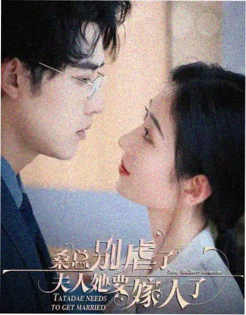 完美搭档完整版 未删减段落上线资讯